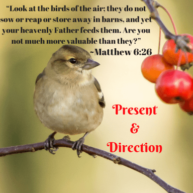 “Look at the birds of the air; they do not sow or reap or store away in barns, and yet your heavenly Father feeds them. Are you not much more valuable than they?”~Matthew 6_26