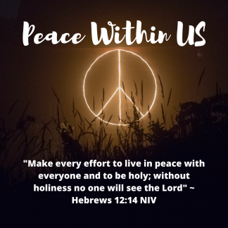 _Make every effort to live in peace with everyone and to be holy; without holiness no one will see the Lord_ _ Hebrews 12_14 NIV